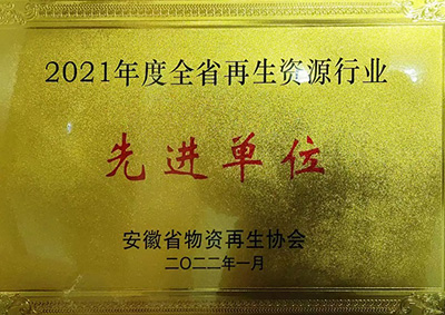 2021年度安徽省再生資源行業(yè)先進(jìn)單位